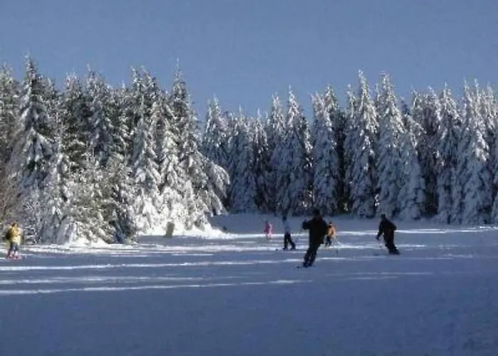 Apartment Ferienapartm- Adler By Interhome